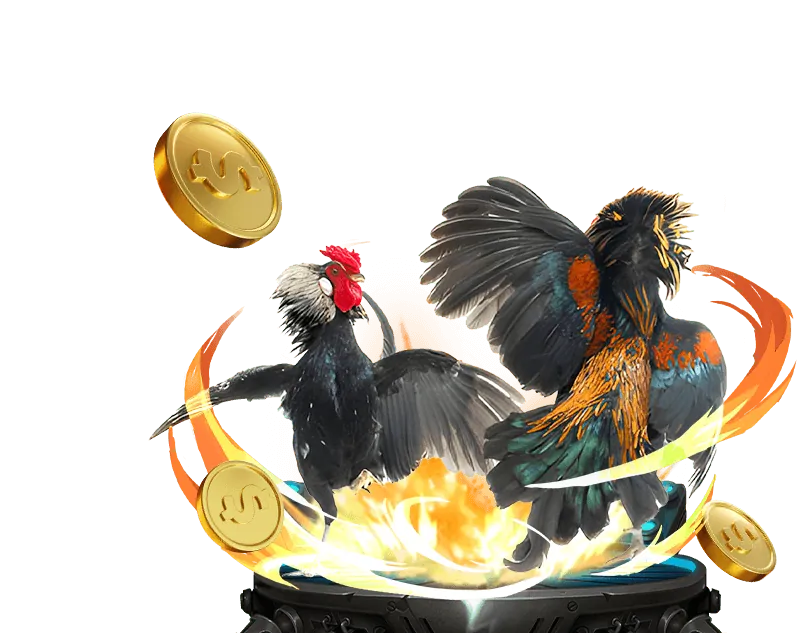 Các phương thức thanh toán được hỗ trợ